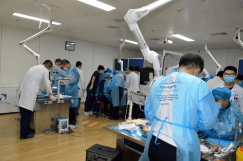第八期吉林省神經外科專業技術質量控制培訓班圓滿閉幕，開創影視專業技術培訓新篇章